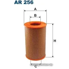 Воздушный фильтр Filtron AR256