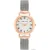 Наручные часы Anne Klein 3807SVRT