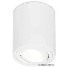 Спот Ambrella light TN225 WH