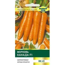 Семена морковь Канада F1 (Bejo Zaden) 100 шт.