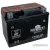 Мотоциклетный аккумулятор President YTX4L-BS MF (4 А·ч)