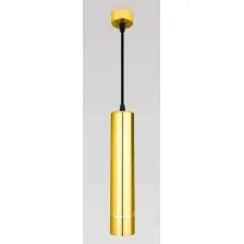 Подвесная люстра Elektrostandard DLN107 GU10 (золото)