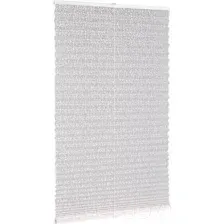 Плиссе Delfa Basic Transparent СПШ-31102 (52x160, белый)