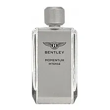 Туалетная вода Bentley Momentum Intense EdT (100 мл)