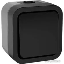 Выключатель IEK Tors TS-V14-0-10-55-K53
