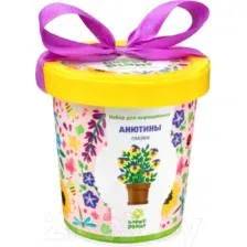 Набор для выращивания растений Happy Plant Анютины глазки / hpn-9