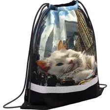 Мешок для обуви Erich Krause Big City Cats 63583