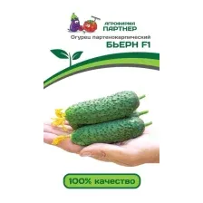 Семена Агрофирма Партнер Огурец Бьерн F1 (5шт)
