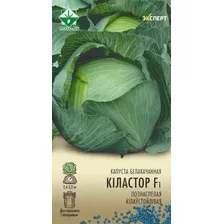 Семена МинскСортСемОвощ Капуста б/к. Киластор Эксперт F1 (12шт)
