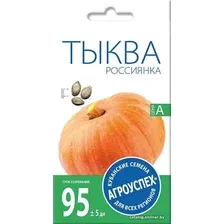 Семена Агроуспех Тыква Россиянка 65816 2 г