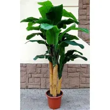 Искусственное растение ForGarden Дерево Banana Tree 210cm / FGN BF01710