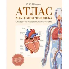 Книга АСТ Атлас анатомии человека. Сердечно-сосудистая система (Левкин Сергей 9785171788469)