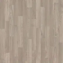 Линолеум Tarkett Stimul Pegas 1 (1.5x2.5м)