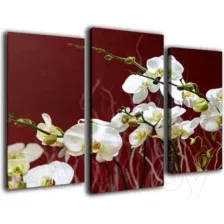 Модульная картина Arthata m-000208 75x50