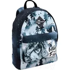 Школьный рюкзак Erich Krause EasyLine 17L Timber Wolf / 60137