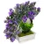 Искусственное растение Merry Bear Home Decor Бонсай Мини EGB3121004 (сиреневый)