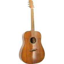 Акустическая гитара Randon RGI-500