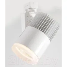 Трековый светильник Elektrostandard Accord LTB20 30W 4200K (белый)