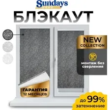 Рулонная штора Sundays Home LM 97-24 43х160 (темно-серый)