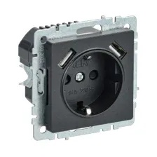 Розетка скрытая с заземлением и USB-портом IEK Brite черный (BR-R14-16-U21-D21-K02)