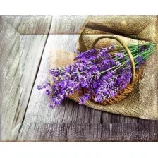 Картина Декарт 8Л0394