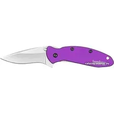 Складной нож Kershaw 1620PUR Scallion