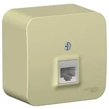 Розетка компьютерная Schneider Electric Blanca BLNIA045007
