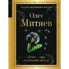 Лето – это маленькая жизнь