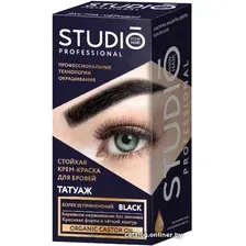 Краска для бровей Studio Professional с эффектом татуажа (экстра-черный)