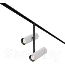 Трековый светильник Maytoni Elti Duo TR005-2-2X12W4K-BW
