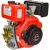 Дизельный двигатель Brait BR300DE