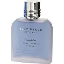 Туалетная вода Omerta Blue Beach Intense Men (100мл)