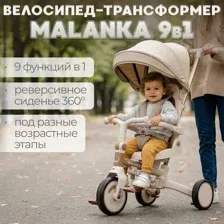 Трехколесный велосипед с ручкой Bubago Malanka / BG 211-2 (коричневый)
