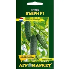 Огурец Бъерн F1, 10шт