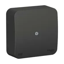 Коробка распределительная Systeme (Schneider) Electric Blanca BLNRK000016