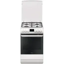 Кухонная плита Hansa FCMW59209