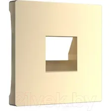 Лицевая панель Werkel W1192011 (шампань)