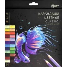 Набор цветных карандашей Феникс+ Классик / 64098 (24цв)