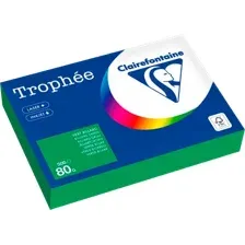Бумага Clairefontaine А4 80г/м2 / 1991C (500л, травяной)