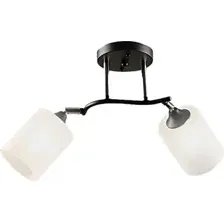 Припотолочная люстра Aitin Pro НПБ 02-2x60-101 K2316/2 (черный/хром)
