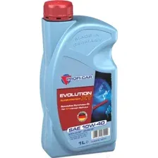 Моторное масло Profi-Car Evolution XT 10W40 (1л)