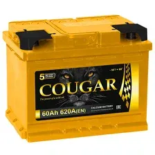 Аккумулятор - COUGAR PRO 60A/h (R+) 600А 242х175х190мм / L2.560 060.0
