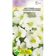 Настурция большая Снежная королева 1г.