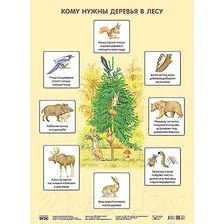 Кому нужны деревья в лесу. Плакат