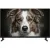 Телевизор Topdevice 32'' Google TV TDWC32BH5260V