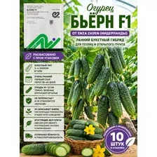 Семена огурца Бьёрн F1, ультраранний партенокарпический, корнишон пучкового типа (зип пакет 10шт)