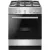 Кухонная плита Hansa FCGS61129H