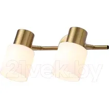 Спот Ambrella Traditional TR3969