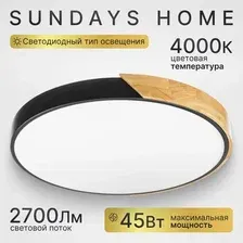 Потолочный светильник Sundays Home LED 240924-18 / 5818 (черный/светлое дерево)