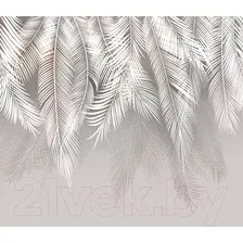 Фотообои листовые Citydecor Пальмовые листья с оттенком светло-серые (300x260)